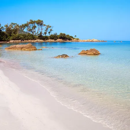 Apartament T2 Route Des Sanguinaires Vue Panoramique *