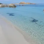 شقة T2 Route Des Sanguinaires Vue Panoramique *