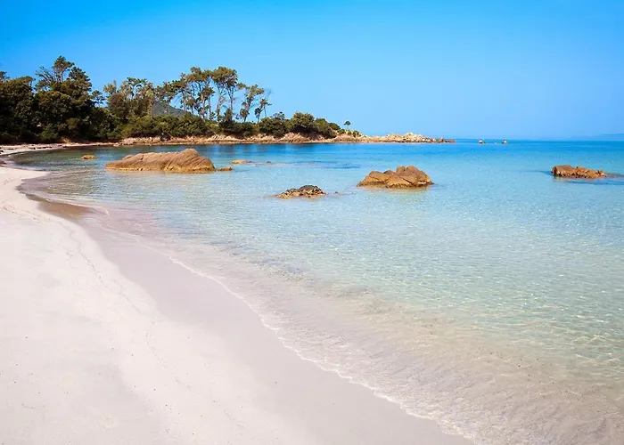 Apartment T2 Route Des Sanguinaires Vue Panoramique *